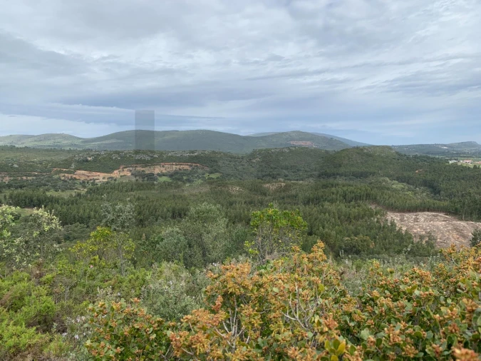 Terreno para Venda em Monsanto Foto 10