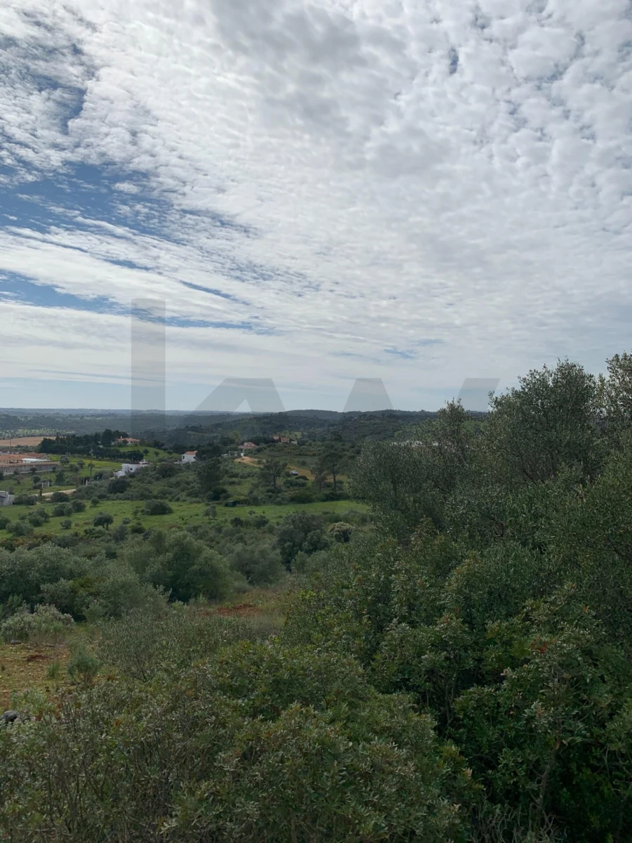 Terreno para Venda em Monsanto Foto 13