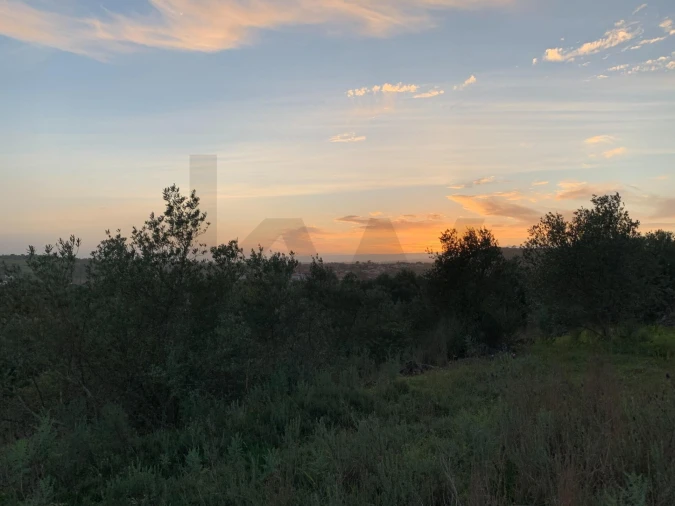 Terreno para Venda em Monsanto Foto 15
