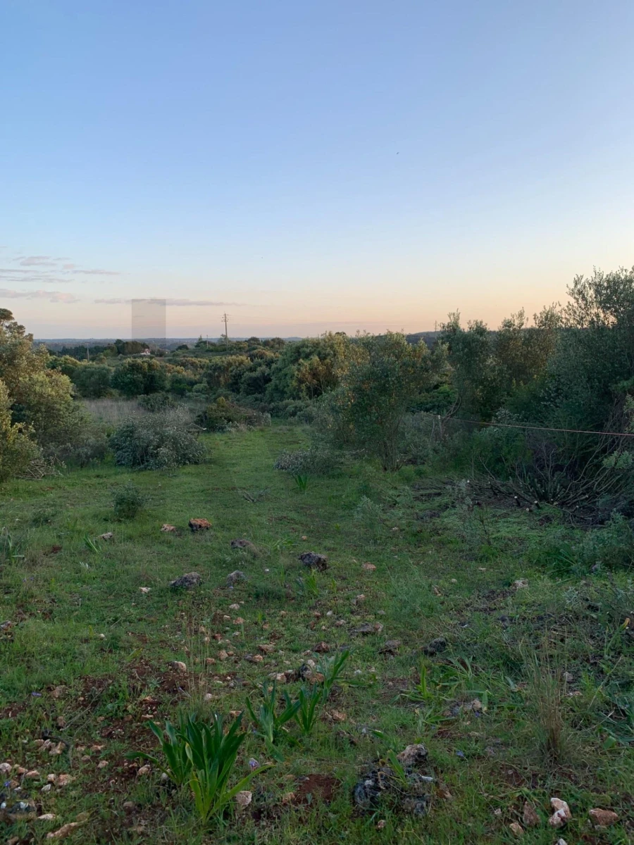 Terreno para Venda em Monsanto Foto 17