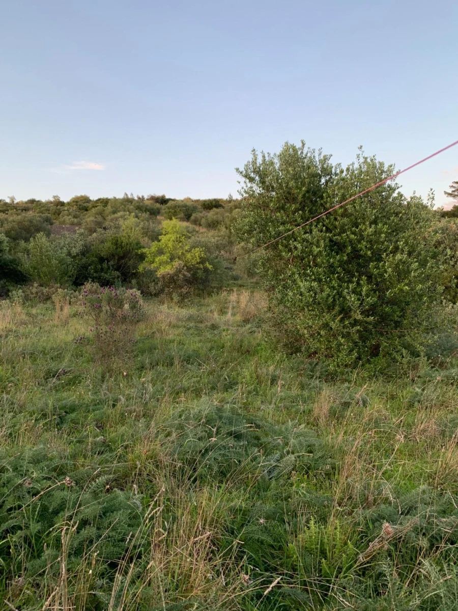 Terreno para Venda em Monsanto Foto 18