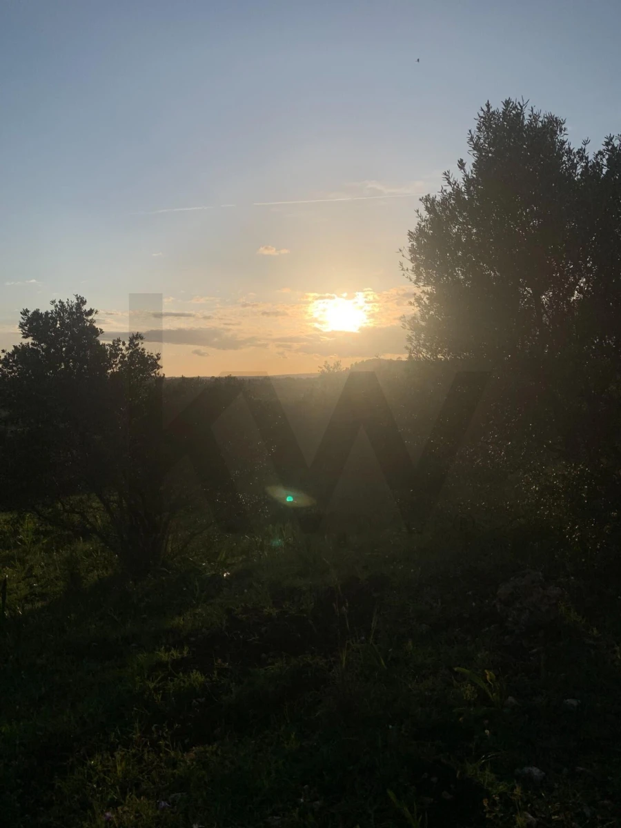 Terreno para Venda em Monsanto Foto 16