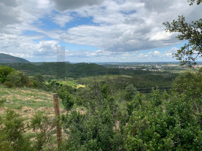 Terreno para Venda em Monsanto Foto 3