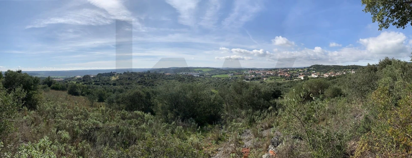 Terreno para Venda em Monsanto Foto 19