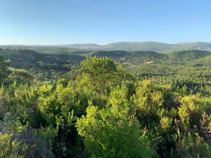 Terreno para Venda em Monsanto Foto 9