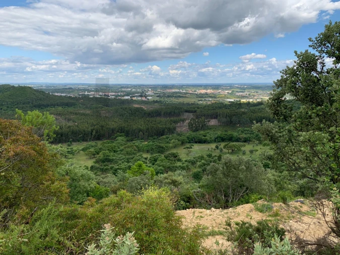 Terreno para Venda em Monsanto Foto 8