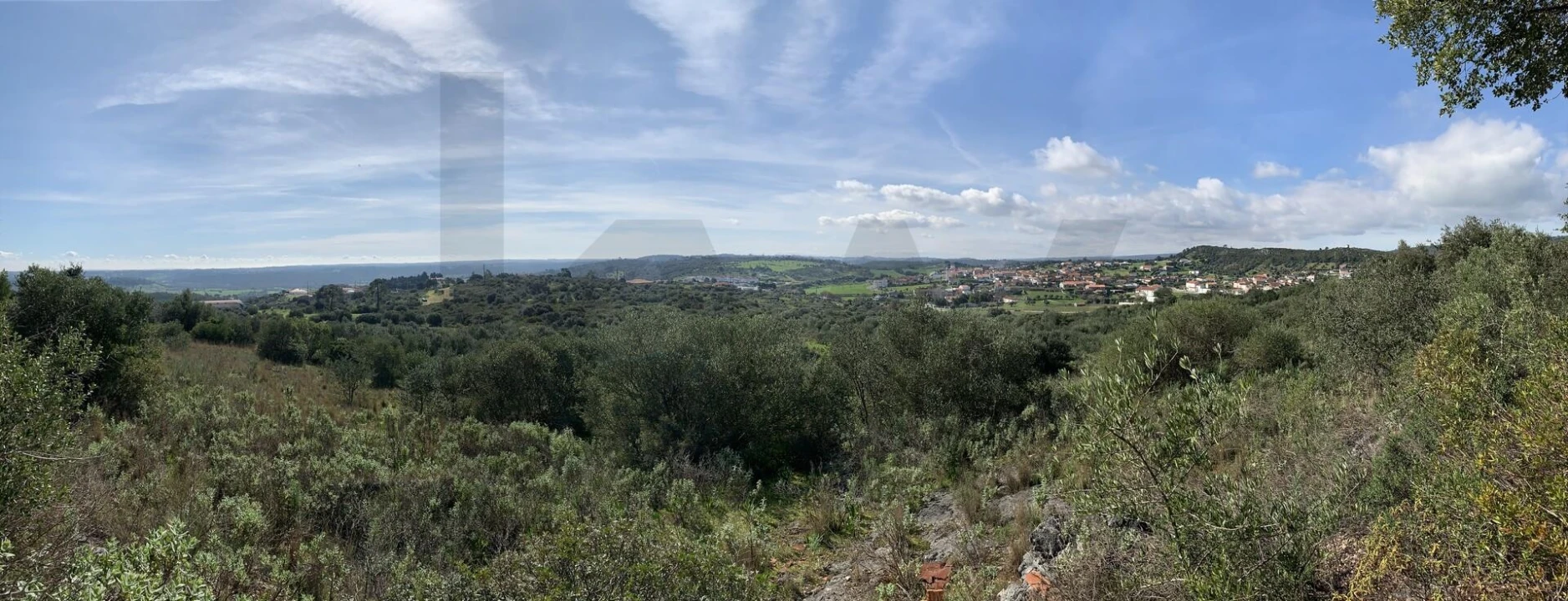 Terreno para Venda em Monsanto Foto 19