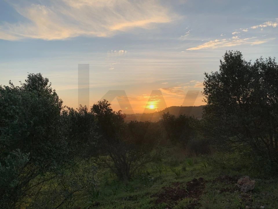 Terreno para Venda em Monsanto Foto 14
