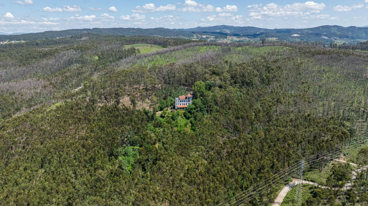 Quinta T30 para Venda em Vila Cova da Lixa e Borba de Godim Foto 7