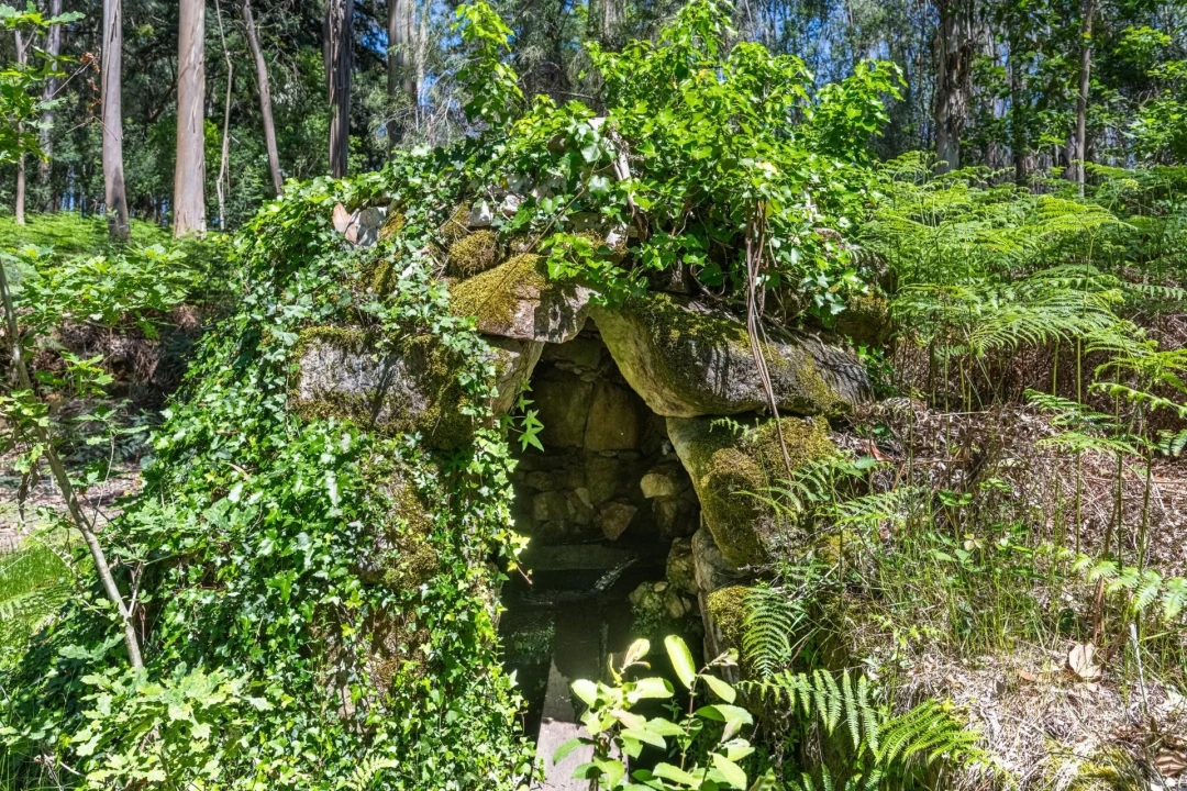 Quinta T30 para Venda em Vila Cova da Lixa e Borba de Godim Foto 53