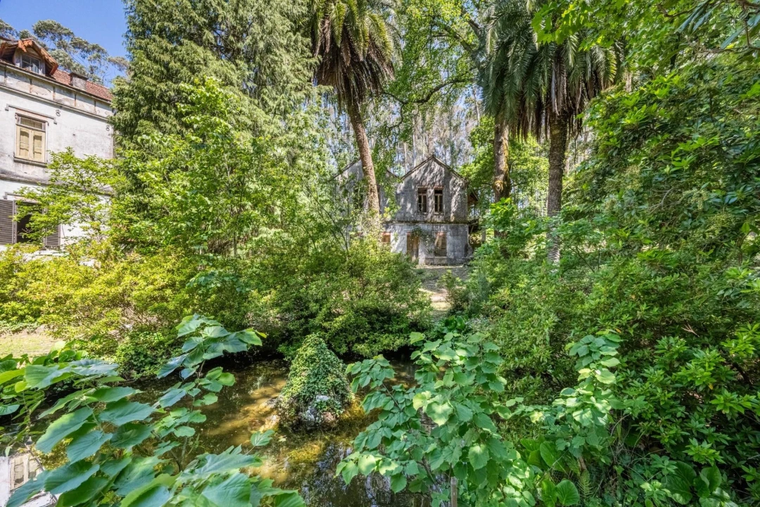 Quinta T30 para Venda em Vila Cova da Lixa e Borba de Godim Foto 51