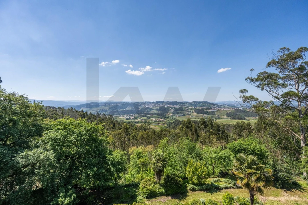 Quinta T30 para Venda em Vila Cova da Lixa e Borba de Godim Foto 47