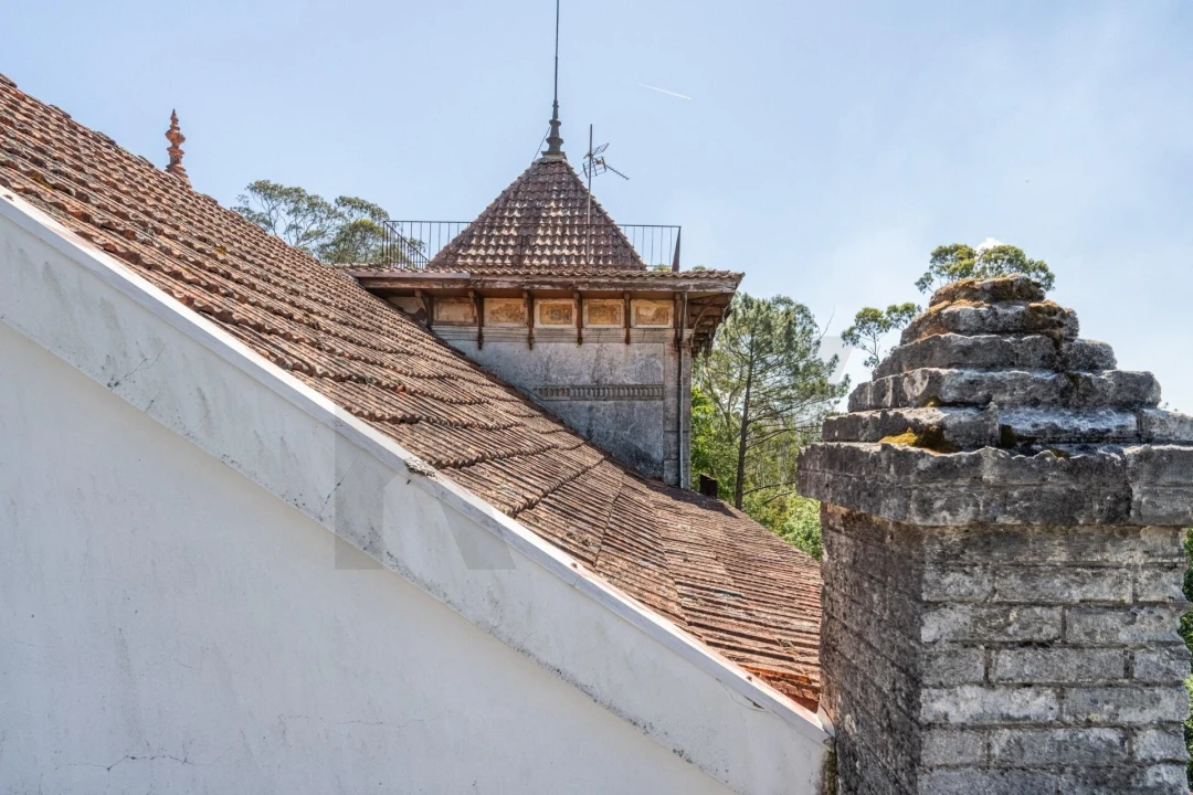 Quinta T30 para Venda em Vila Cova da Lixa e Borba de Godim Foto 48