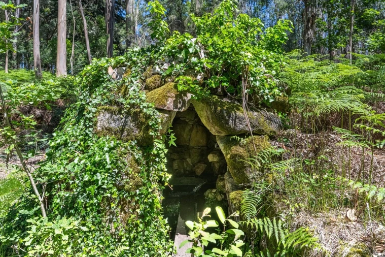 Quinta T30 para Venda em Vila Cova da Lixa e Borba de Godim Foto 53