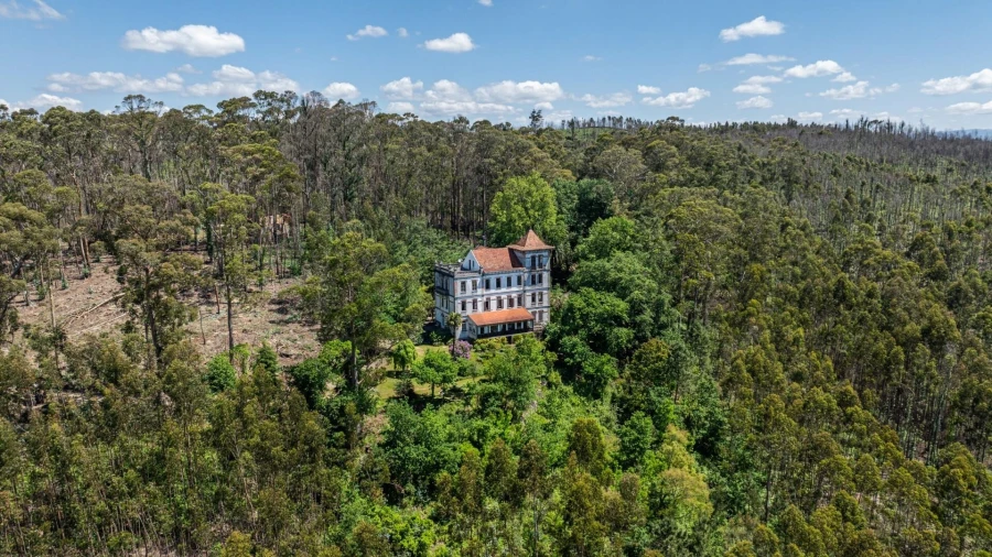 Quinta T30 para Venda em Vila Cova da Lixa e Borba de Godim Foto 5