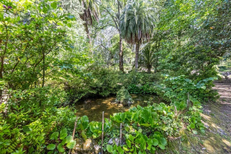 Quinta T30 para Venda em Vila Cova da Lixa e Borba de Godim Foto 50