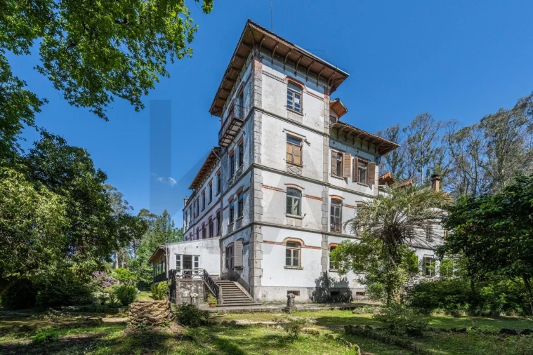 Quinta T30 para Venda em Vila Cova da Lixa e Borba de Godim Foto 24