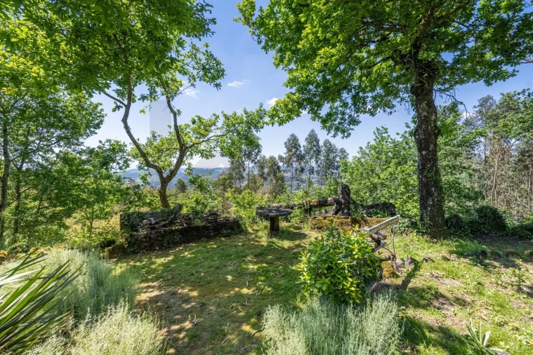 Quinta T30 para Venda em Vila Cova da Lixa e Borba de Godim Foto 56