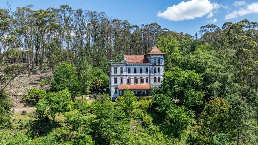 Quinta T30 para Venda em Vila Cova da Lixa e Borba de Godim Foto 1