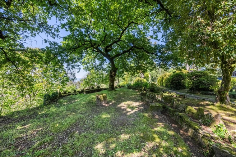 Quinta T30 para Venda em Vila Cova da Lixa e Borba de Godim Foto 25