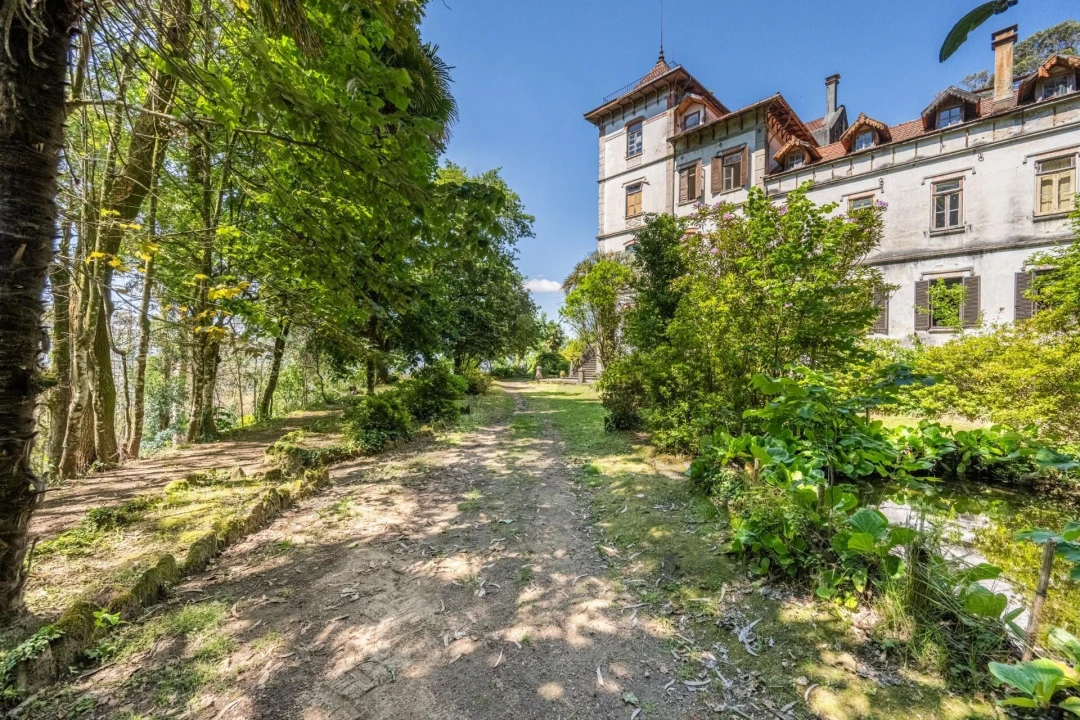 Quinta T30 para Venda em Vila Cova da Lixa e Borba de Godim Foto 54