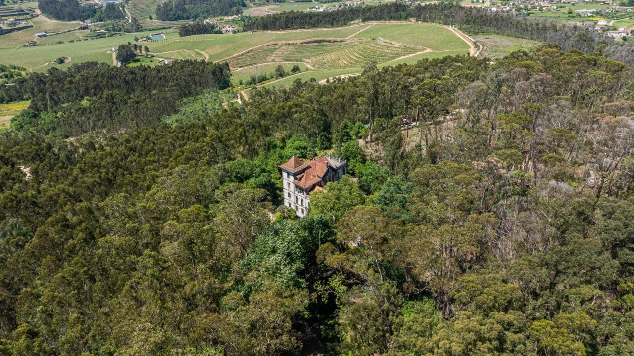 Quinta T30 para Venda em Vila Cova da Lixa e Borba de Godim Foto 8