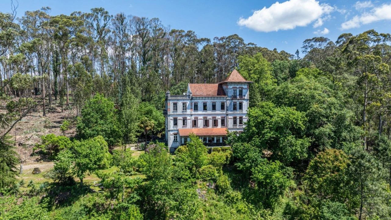 Quinta T30 para Venda em Vila Cova da Lixa e Borba de Godim Foto 1