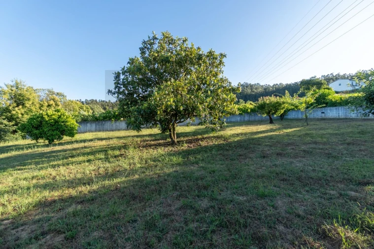 Moradia T3 para Venda em O. Azeméis, Riba-Ul, Ul, Macinhata Seixa, Madail Foto 68
