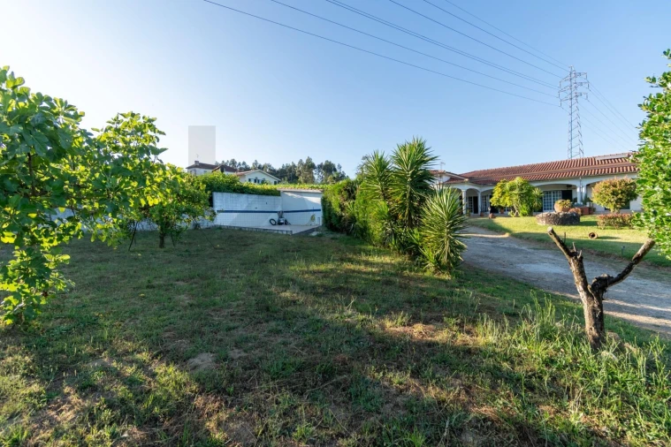 Moradia T3 para Venda em O. Azeméis, Riba-Ul, Ul, Macinhata Seixa, Madail Foto 69