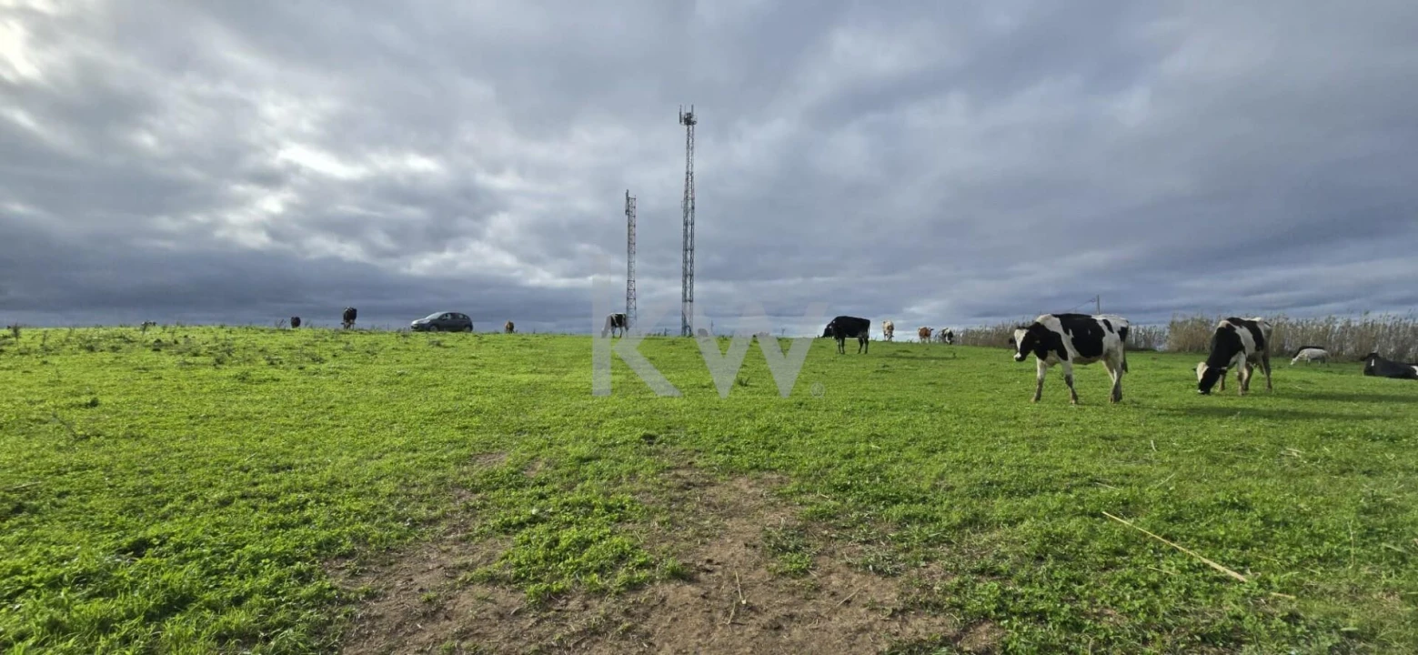Terreno para Venda em Ribeirinha Foto 10