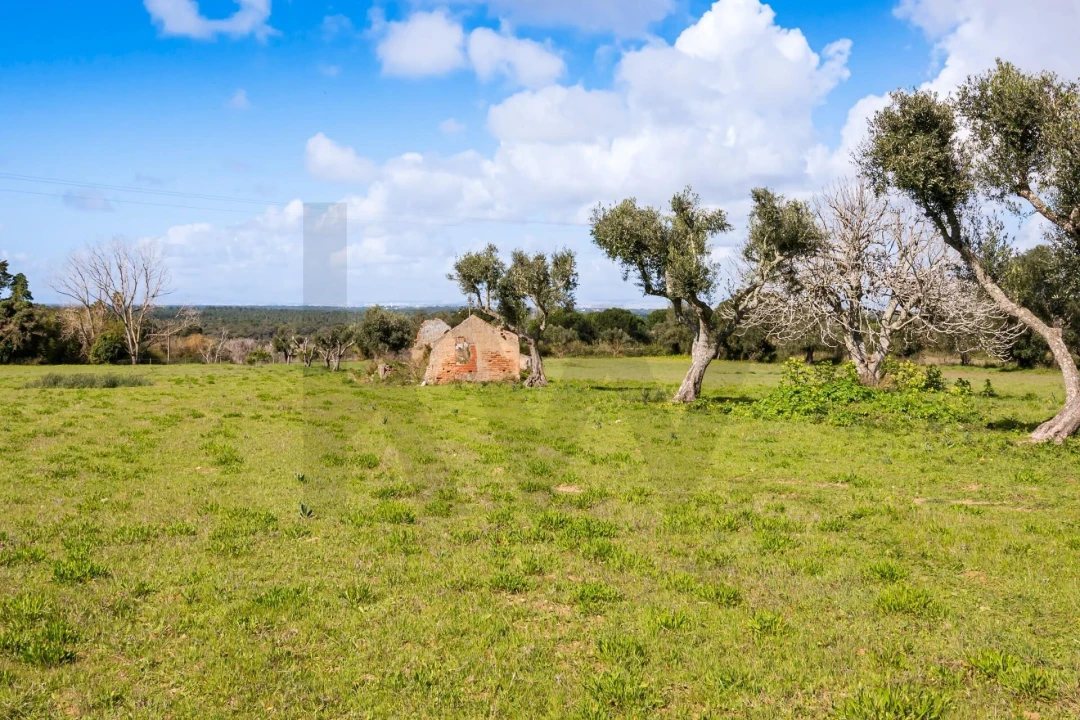 Terreno para Venda em Azeitão (São Lourenço e São Simão) Foto 17