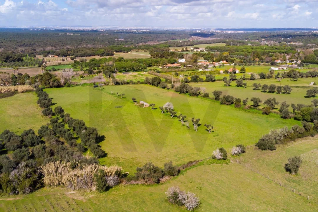 Terreno para Venda em Azeitão (São Lourenço e São Simão) Foto 1