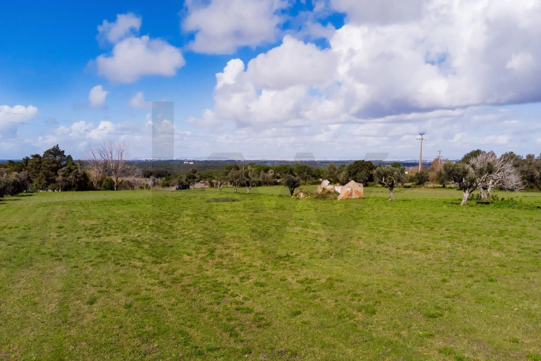 Terreno para Venda em Azeitão (São Lourenço e São Simão) Foto 19