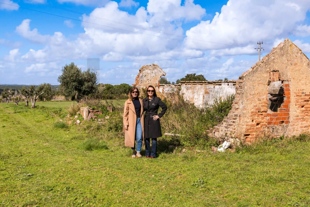 Terreno para Venda em Azeitão (São Lourenço e São Simão) Foto 20