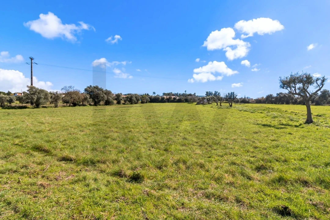 Terreno para Venda em Azeitão (São Lourenço e São Simão) Foto 3