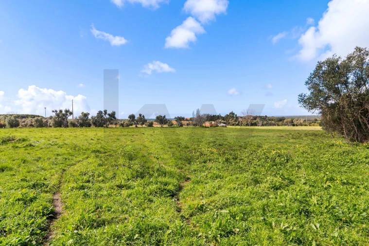 Terreno para Venda em Azeitão (São Lourenço e São Simão) Foto 7