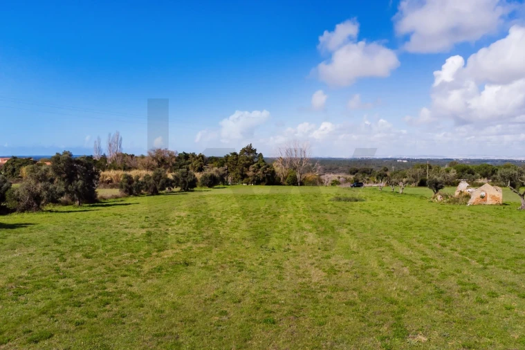 Terreno para Venda em Azeitão (São Lourenço e São Simão) Foto 18