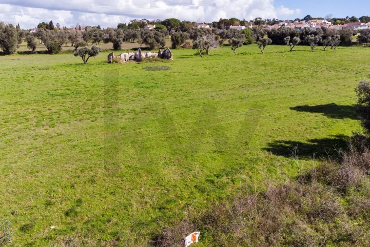Terreno para Venda em Azeitão (São Lourenço e São Simão) Foto 14