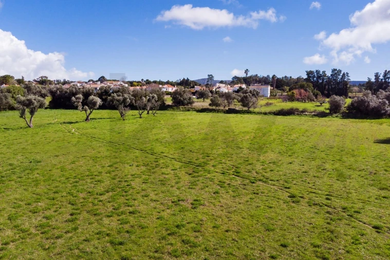 Terreno para Venda em Azeitão (São Lourenço e São Simão) Foto 16
