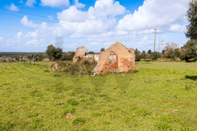 Terreno para Venda em Azeitão (São Lourenço e São Simão) Foto 21