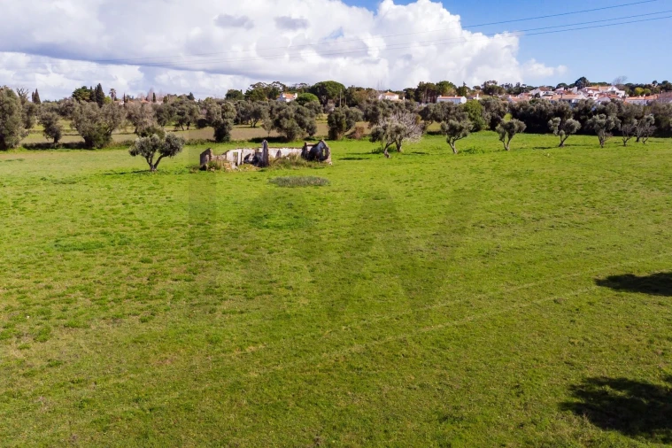 Terreno para Venda em Azeitão (São Lourenço e São Simão) Foto 15