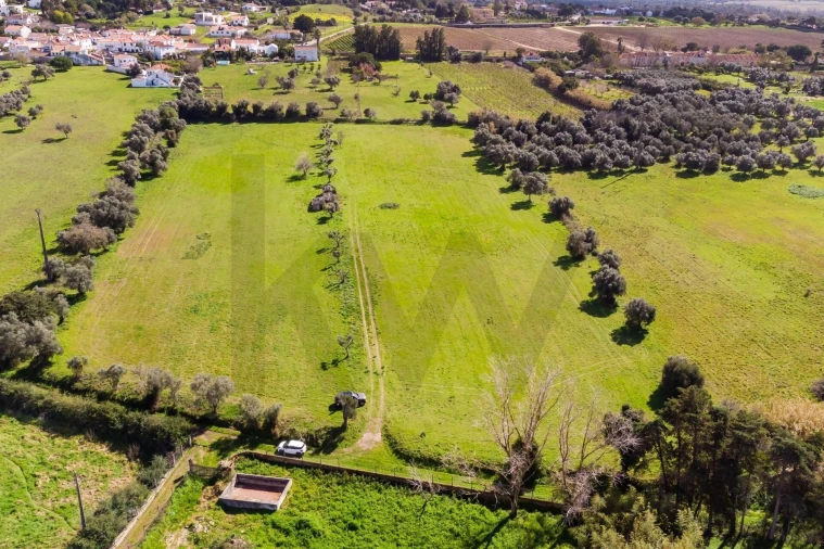 Terreno para Venda em Azeitão (São Lourenço e São Simão) Foto 10