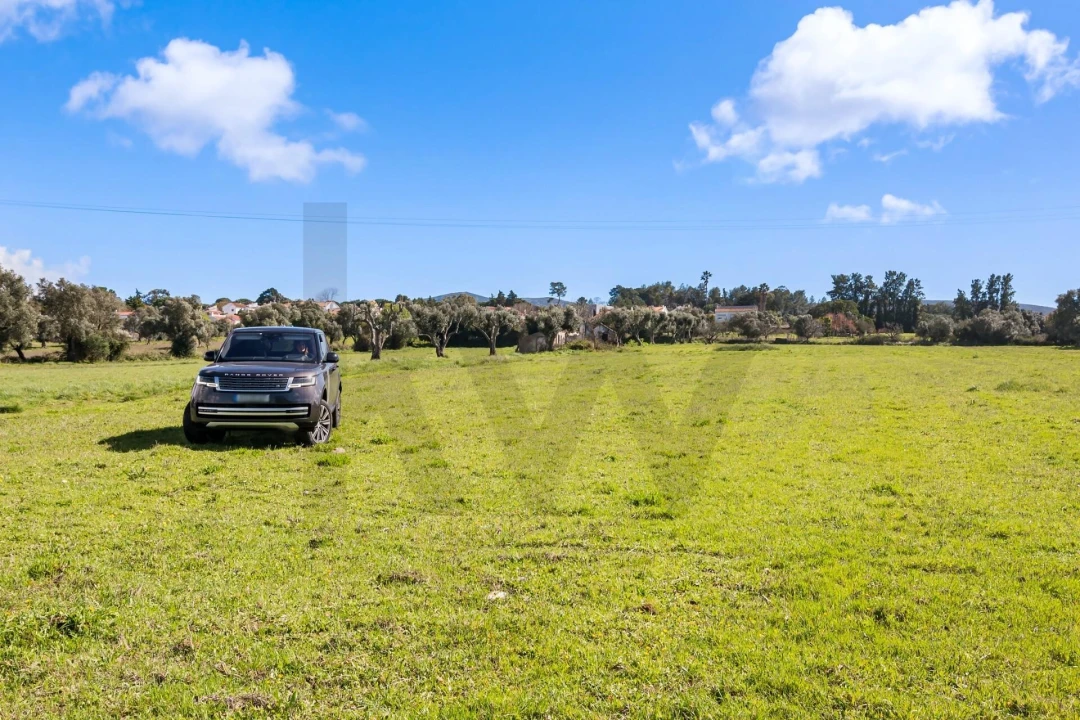 Terreno para Venda em Azeitão (São Lourenço e São Simão) Foto 5