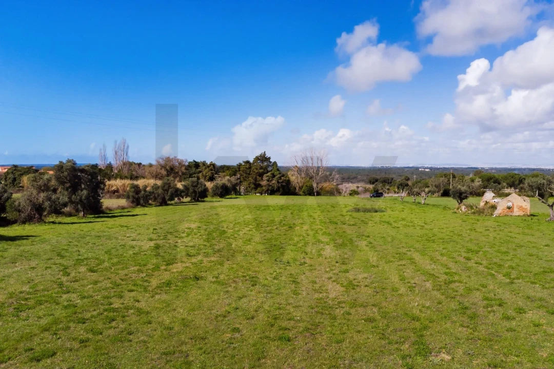 Terreno para Venda em Azeitão (São Lourenço e São Simão) Foto 18