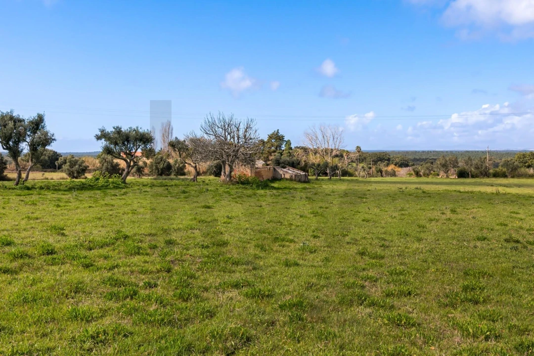 Terreno para Venda em Azeitão (São Lourenço e São Simão) Foto 8