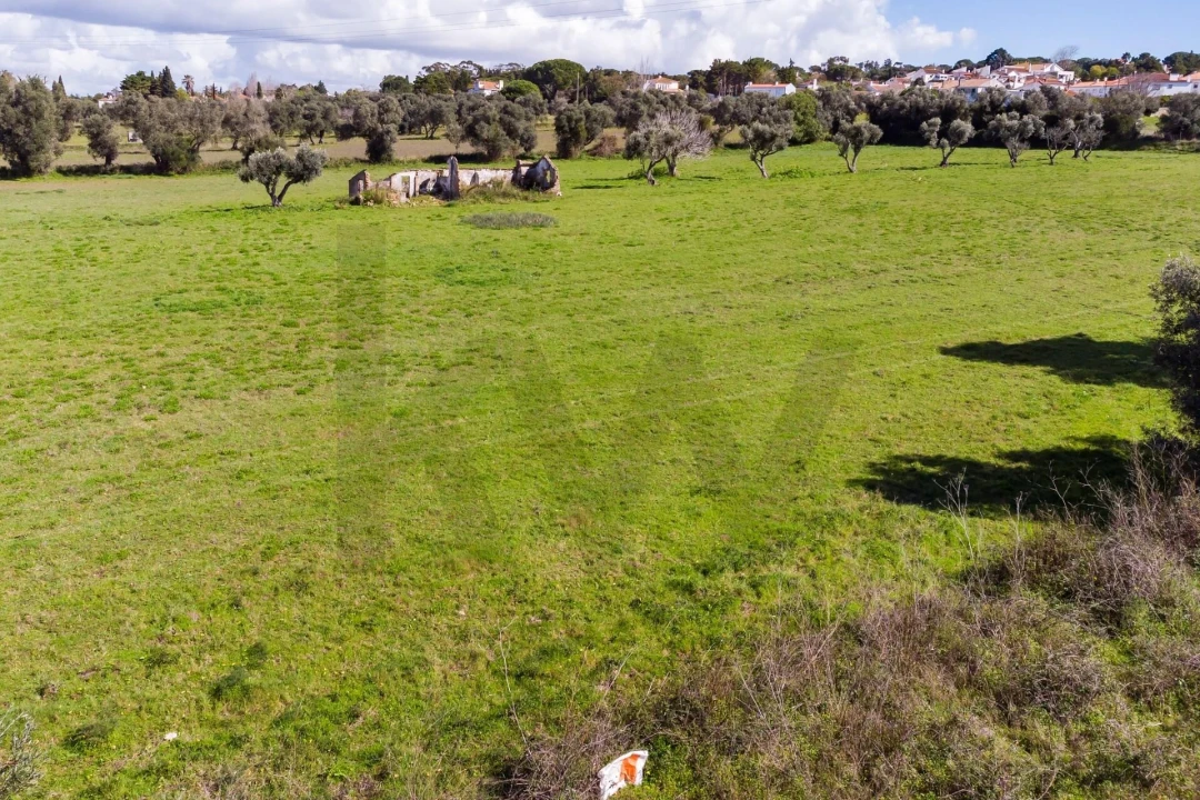Terreno para Venda em Azeitão (São Lourenço e São Simão) Foto 14