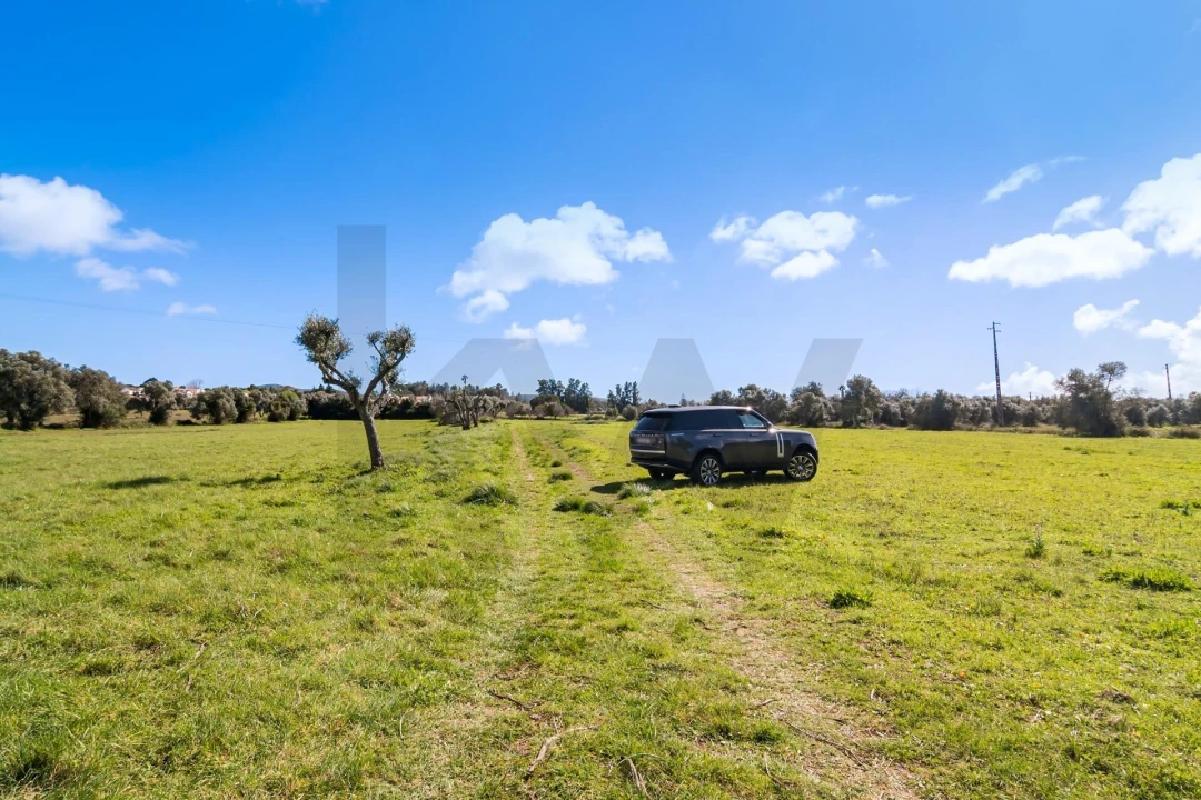 Terreno para Venda em Azeitão (São Lourenço e São Simão) Foto 4