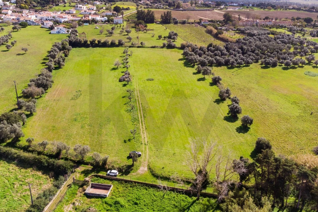 Terreno para Venda em Azeitão (São Lourenço e São Simão) Foto 10