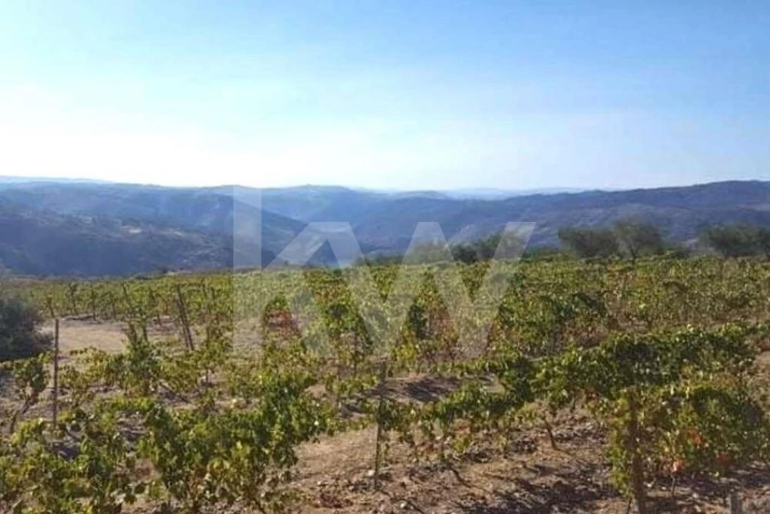 Terreno para Venda em Seixas Foto 11