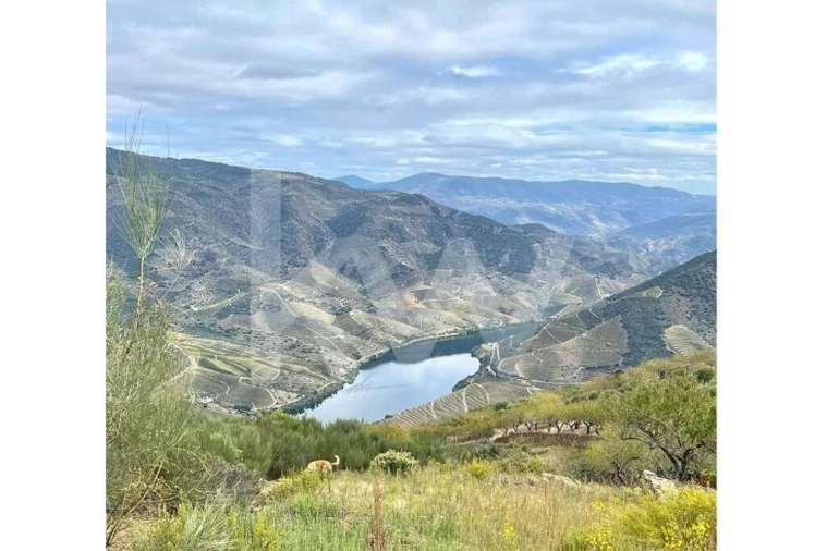 Terreno para Venda em Seixas Foto 12